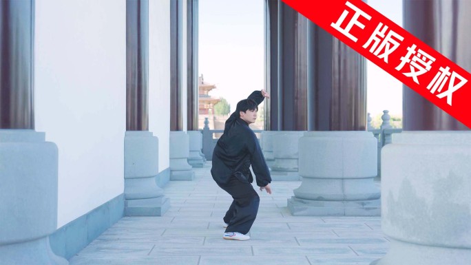年轻人打拳 武术招式 打拳拳法