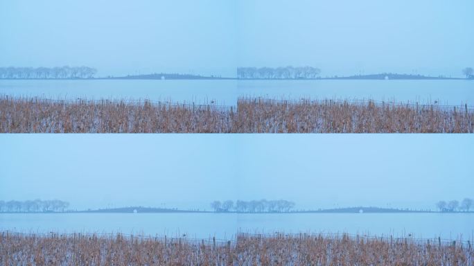 杭州水墨西湖雾天江南风景