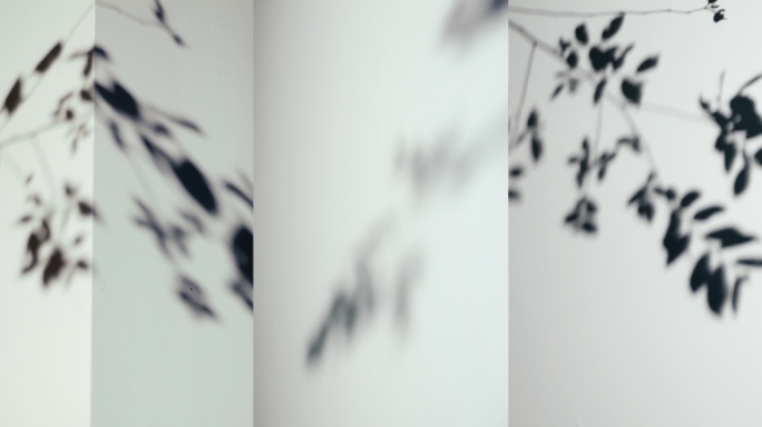 实拍4k竖版-室外叶子影子和椅子