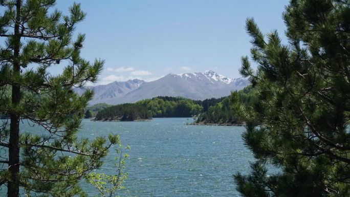 宁静的山湖在春天树木从风中缓慢移动雪山背景阳光明媚的一天