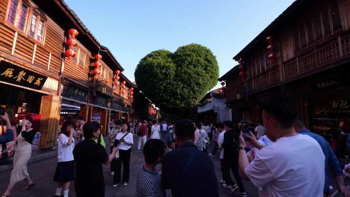 三坊七巷爱心树