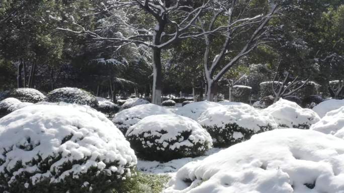 公园雪景