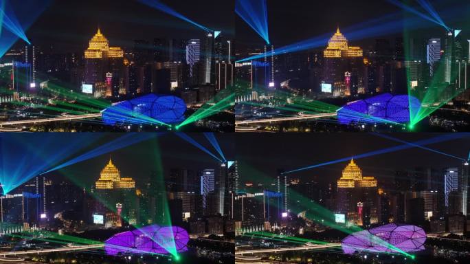 辽宁沈阳城市夜晚灯光秀 (23)