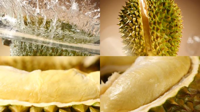 带壳榴莲升格