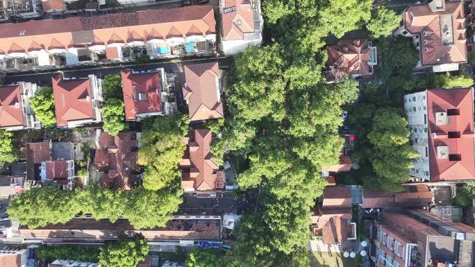 4K-Log-上海长宁愚园路历史风貌区