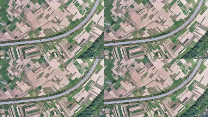 迷彩色的萝卜地航拍