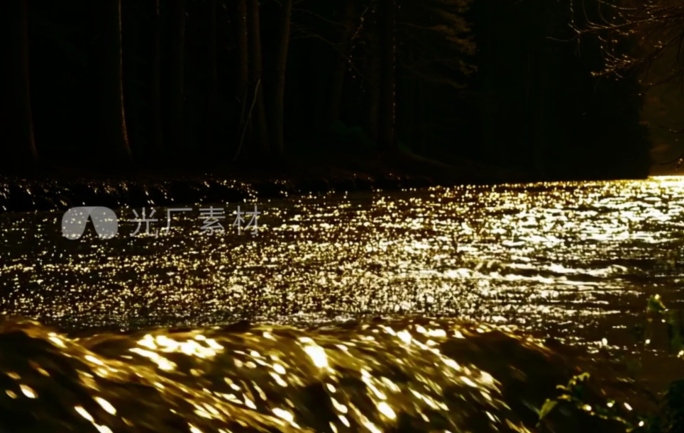 粒子河 金色粒子 粒子河流 粒子海浪