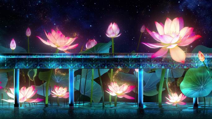 国潮中国风梦幻夜空荷花池塘vj