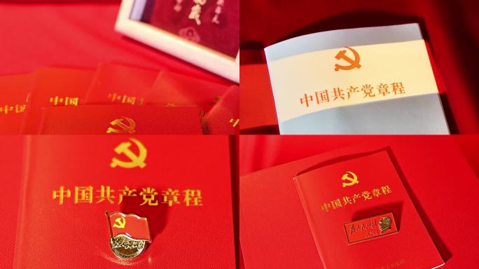 党章党徽建党100周年（10分钟）