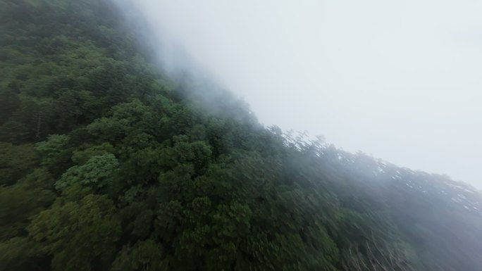 神农架穿越机FPV穿越迷雾森林