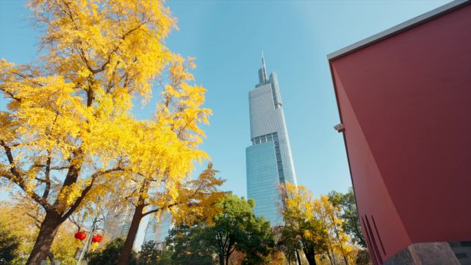 南京鼓楼公园航拍地拍银杏合集