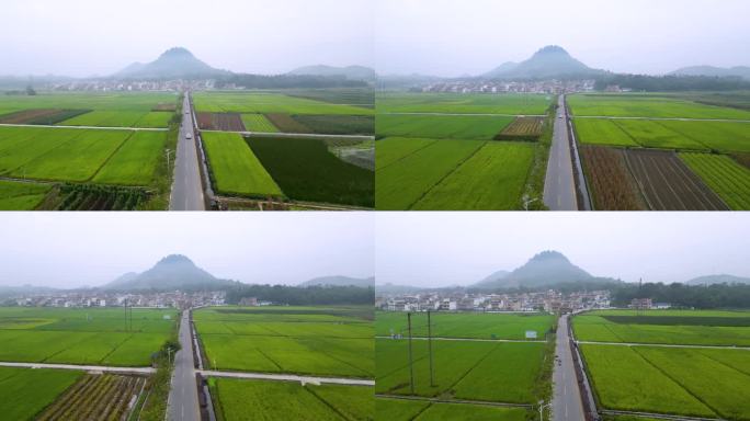 乐昌长来镇和村乡村早晨