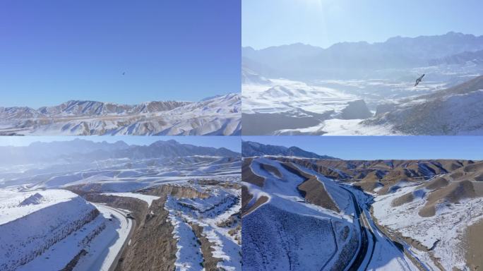 新疆旅行  雪山 老鹰 蓝天