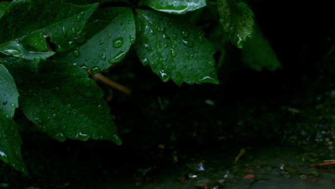 下雨天扫街 下雨 大雨 街道 雨滴