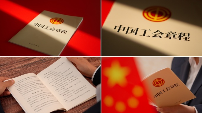 工会章程中国工会章程工会条例工会法律