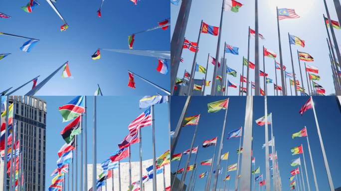 全球各国地区旗帜G20一带一路国家联合国