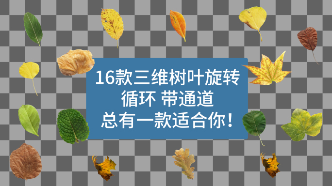 树叶 单片树叶 三维树叶循环