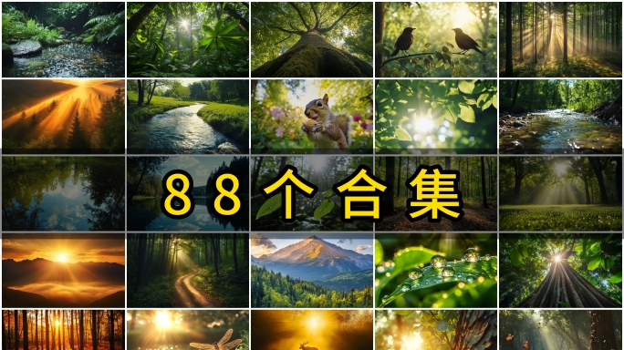 森林航拍森林树林水大自然春天风景溪流环保
