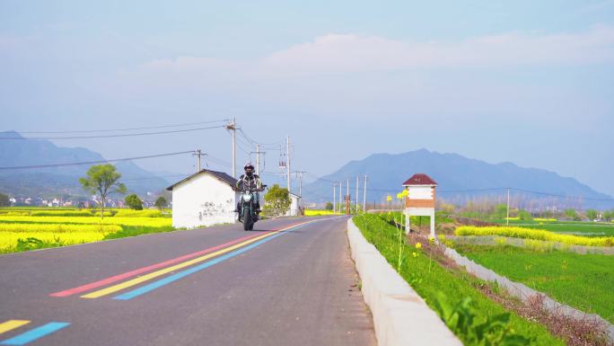 杭州富阳富春江江畔春天绿道风景