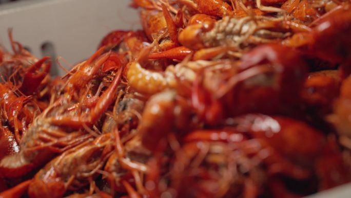 点火  油炸龙虾 炒龙虾 吃龙虾 爆炒