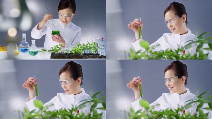 植物实验02
