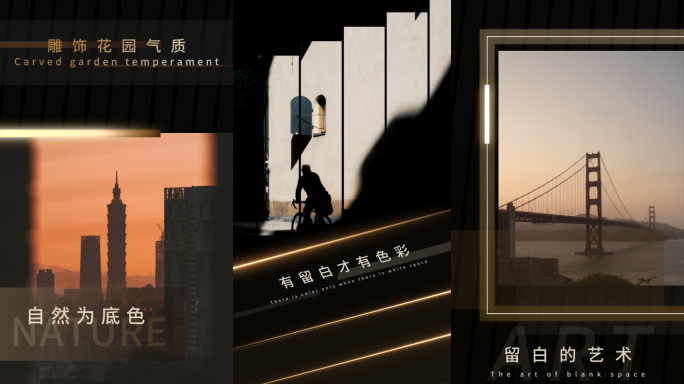 竖屏黑金高级快闪