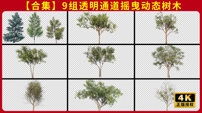 【合集】9组透明通道动态树木大树植物