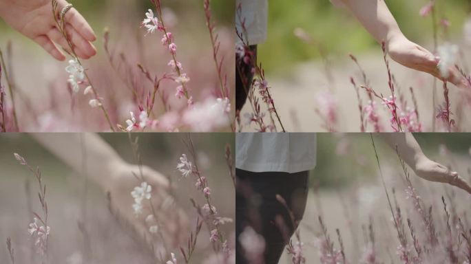 阳光下女生手摸花