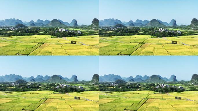 秋天阳光下桂林山边的村庄和金黄色的稻田