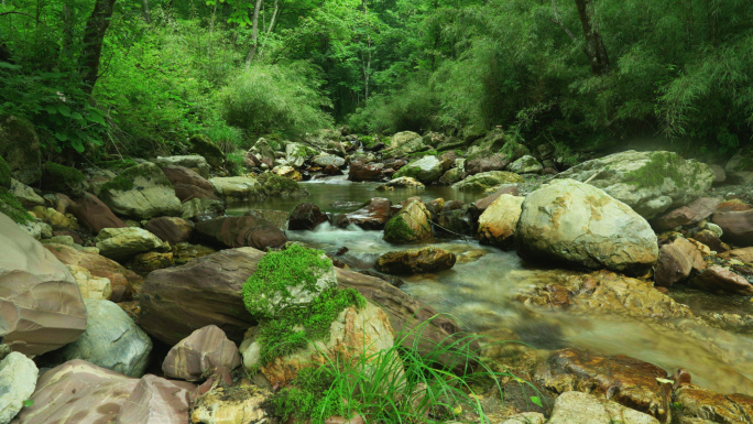 山间溪流 水源地