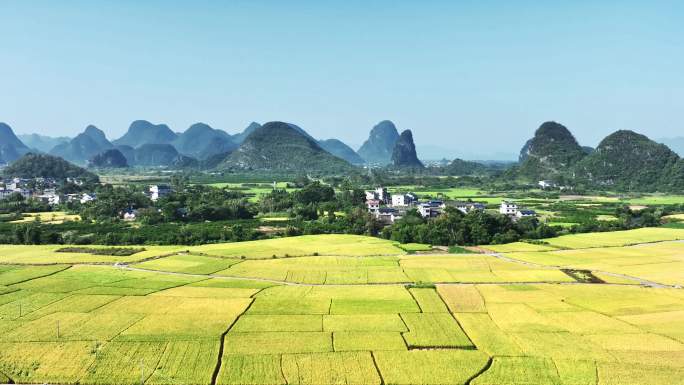 秋天阳光下桂林山边的村庄和金黄色的稻田
