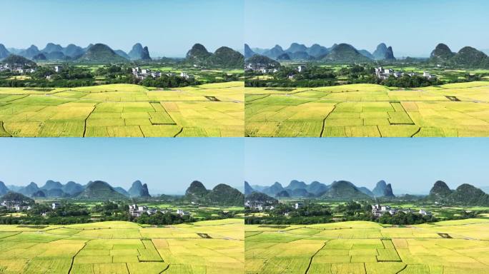 秋天阳光下桂林山边的村庄和金黄色的稻田