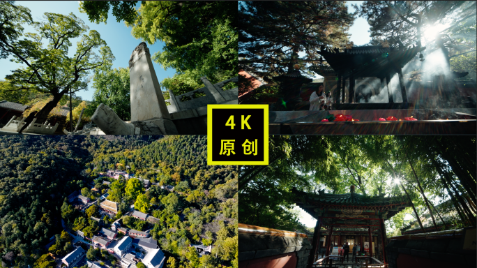 潭柘寺 潭柘寺银杏树