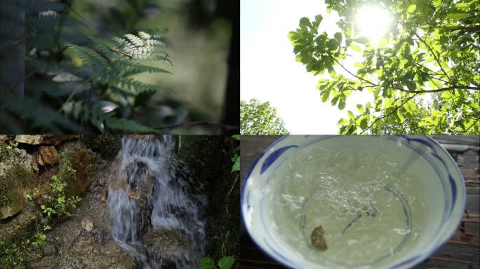 夏至 夏日景色 炎夏生活
