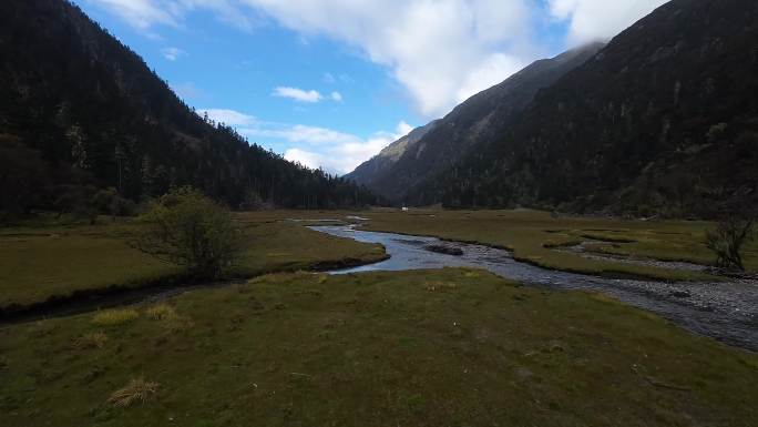 高山牧场