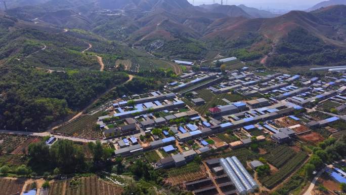 辽宁盖州水果采摘农场