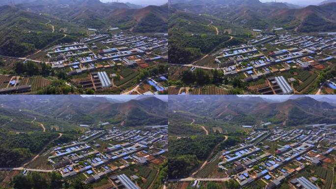 辽宁盖州水果采摘农场