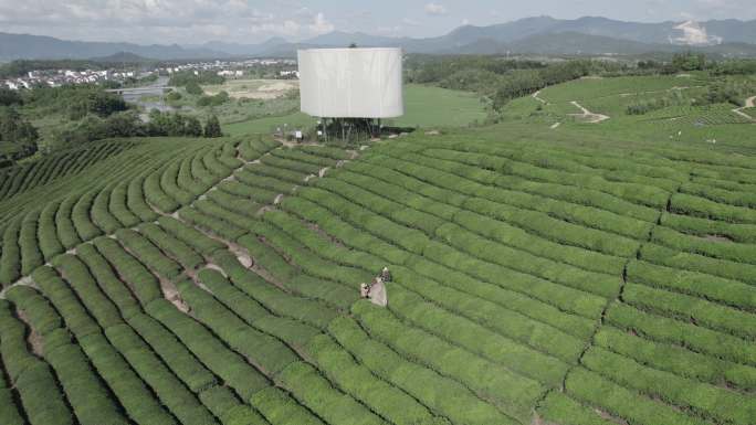 景德镇茶田 大地之灯