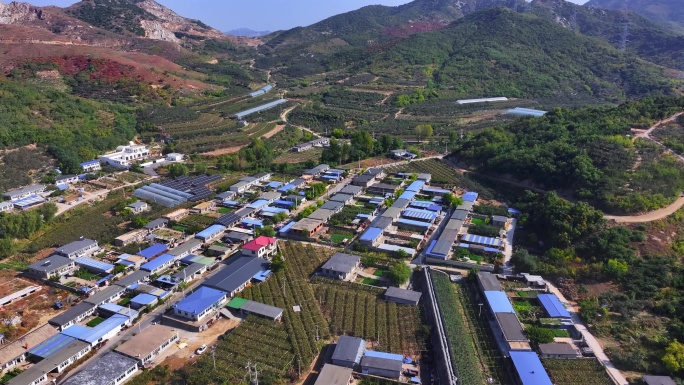 辽宁盖州水果采摘农场