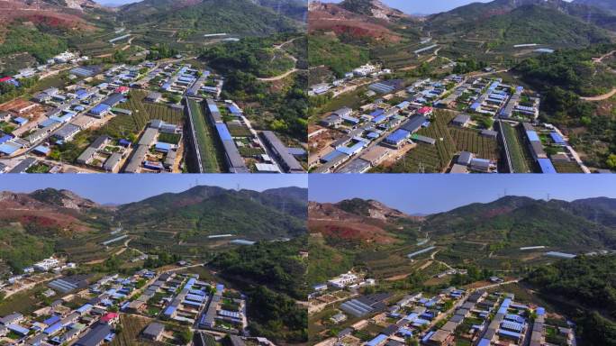 辽宁盖州水果采摘农场
