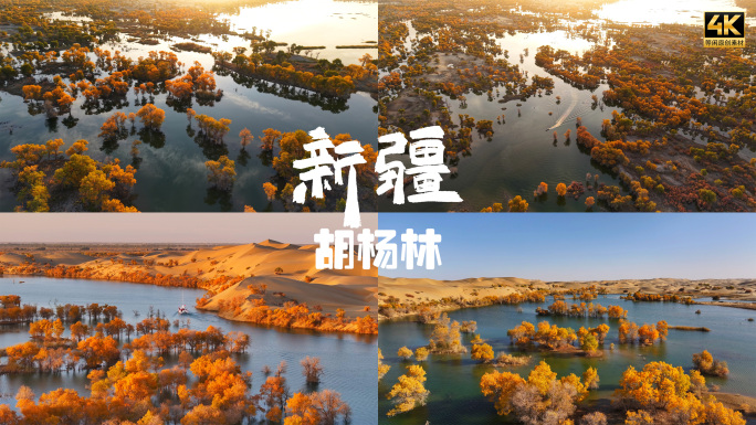 新疆库尔勒罗布淖尔葫芦岛胡杨林航拍4K