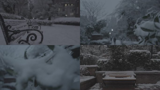 4K高清 高速慢镜头雪景 灰片后期可调