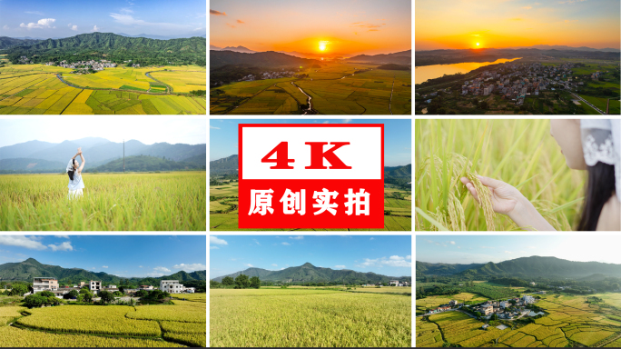 乡村振兴 美丽乡村 秋收 乡村文旅 延时