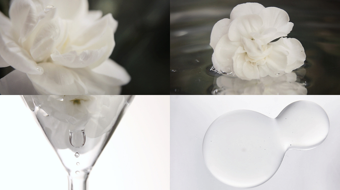 鲜花茉莉花化妆品广告萃取