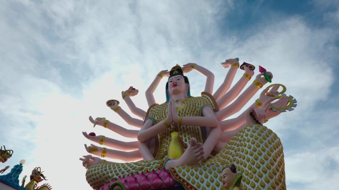 鸟绕观音飞，cam动右