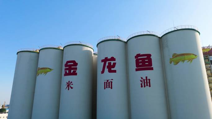 郑州金龙鱼米面油