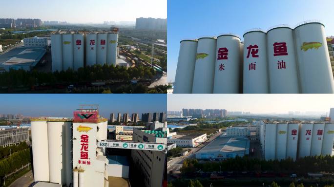 郑州金龙鱼米面油