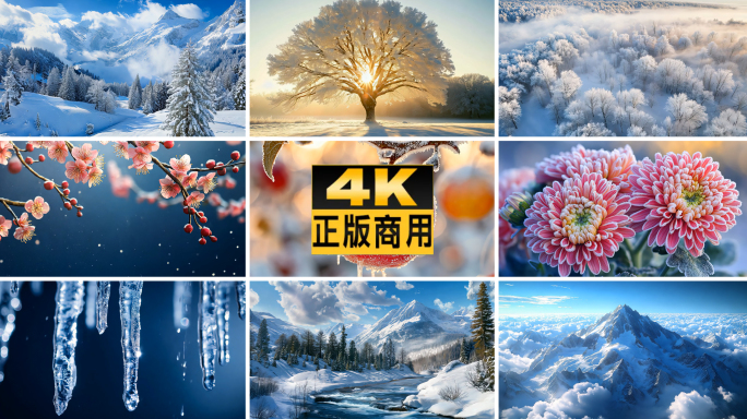 冬天冬季寒冷冬至寒冬雾凇大雪雪景