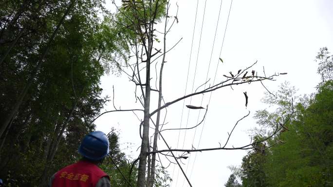 电力人员砍青砍树电力维护电网建设电力保障