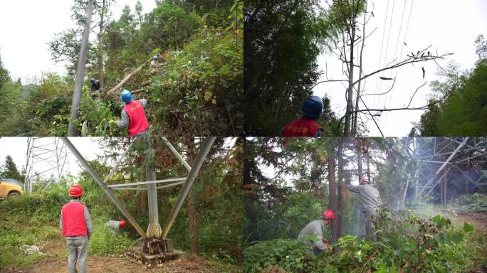电力人员砍青砍树电力维护电网建设电力保障